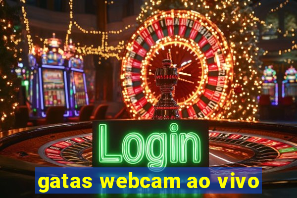 gatas webcam ao vivo